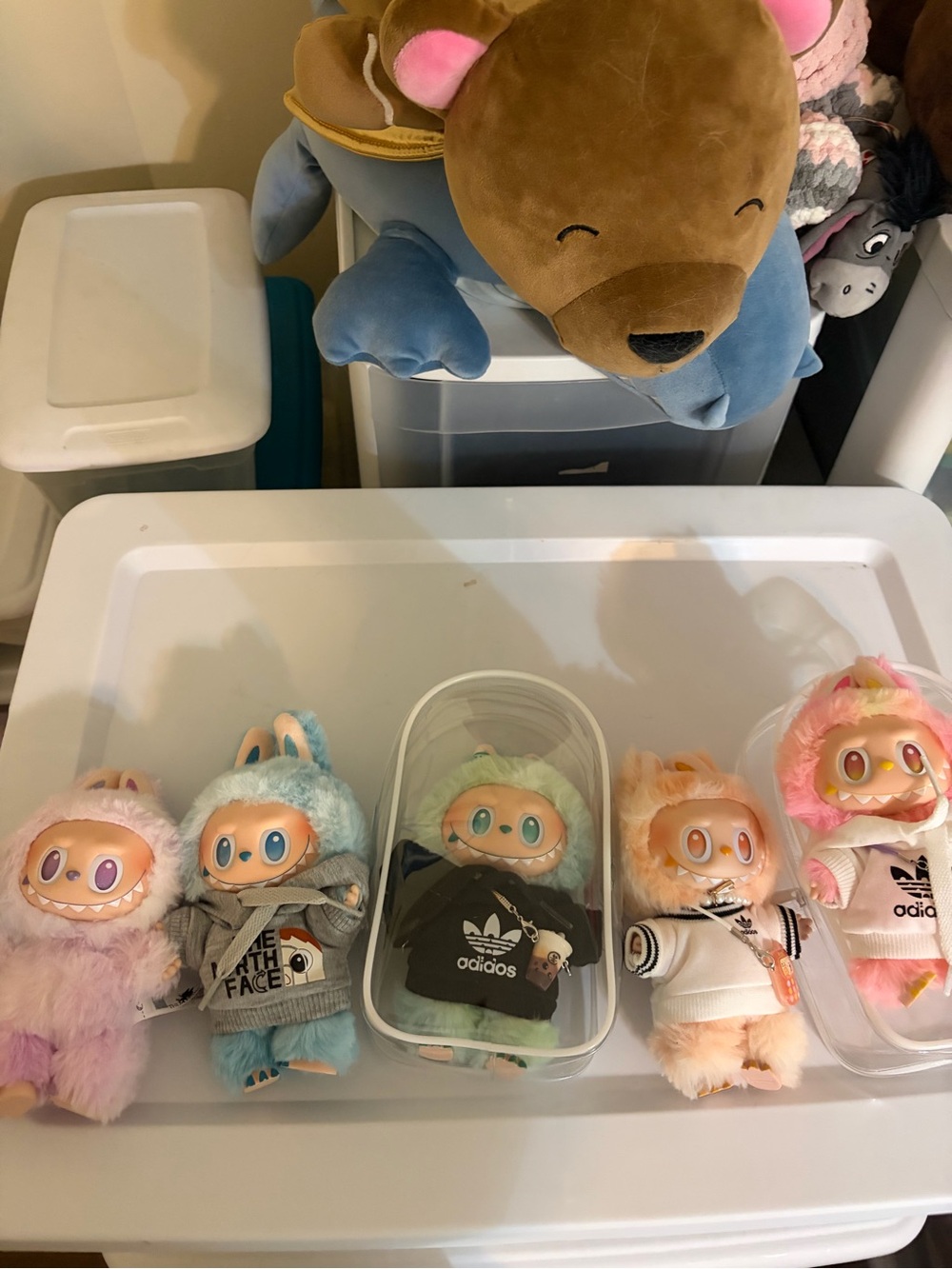 Big energy labubu collection